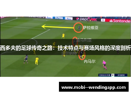 西多夫的足球传奇之路：技术特点与赛场风格的深度剖析