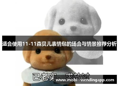 适合使用11-11森贝儿表情包的场合与情景推荐分析 适合使用11-11森贝儿表情包的场合与情景推荐分析