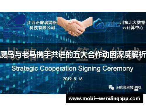 魔鸟与老马携手共进的五大合作动因深度解析