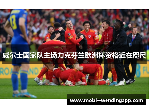 威尔士国家队主场力克芬兰欧洲杯资格近在咫尺