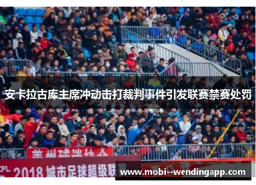 安卡拉古库主席冲动击打裁判事件引发联赛禁赛处罚